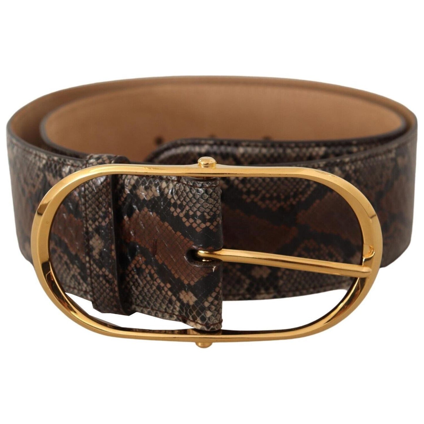 Dolce & Gabbana Elegant Brown Leather Belt with Gold Buckle WOMAN BELTS Dolce & Gabbana Dark Slate Gray