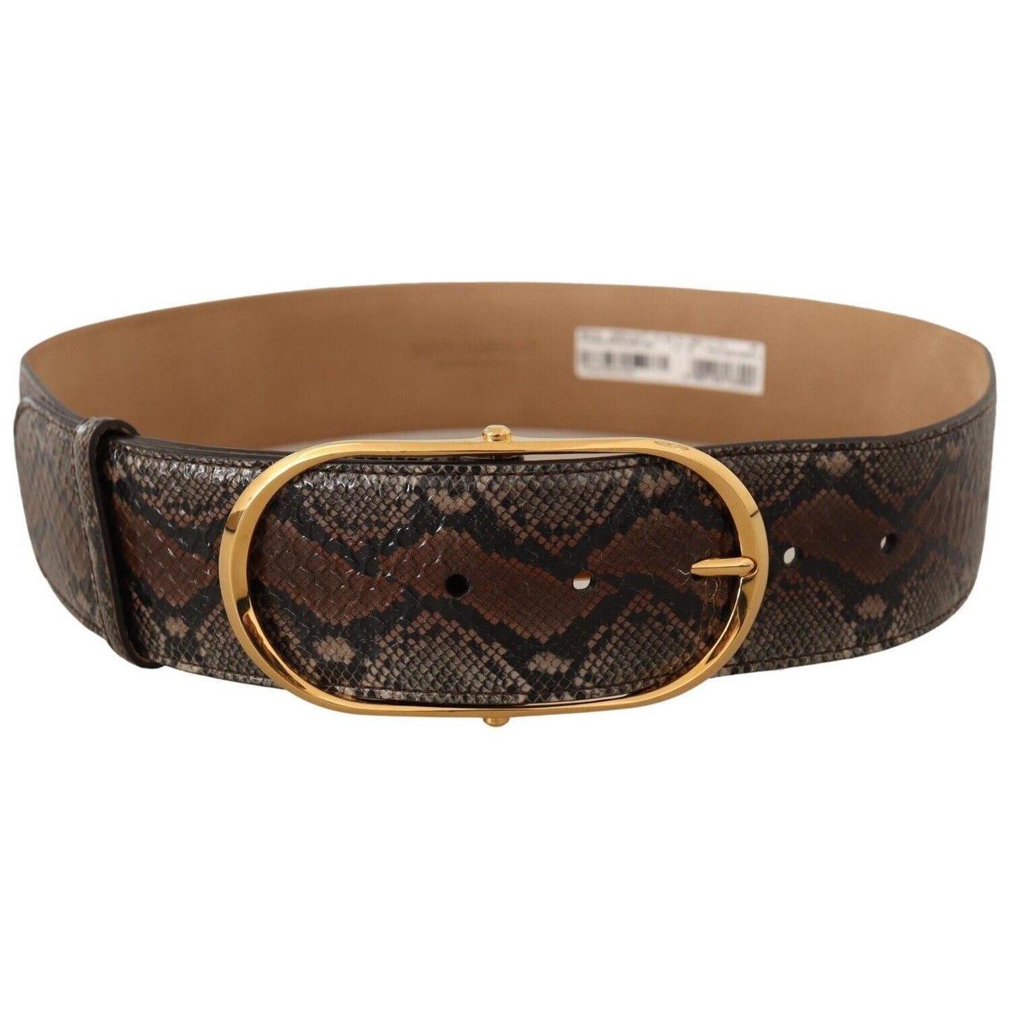 Dolce & Gabbana Elegant Brown Leather Belt with Gold Buckle WOMAN BELTS Dolce & Gabbana Dark Slate Gray
