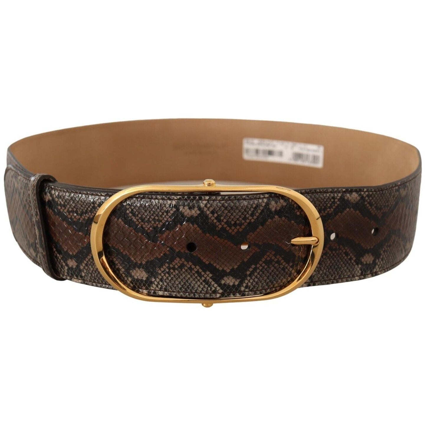 Dolce & Gabbana Elegant Brown Leather Belt with Gold Buckle WOMAN BELTS Dolce & Gabbana Dark Slate Gray