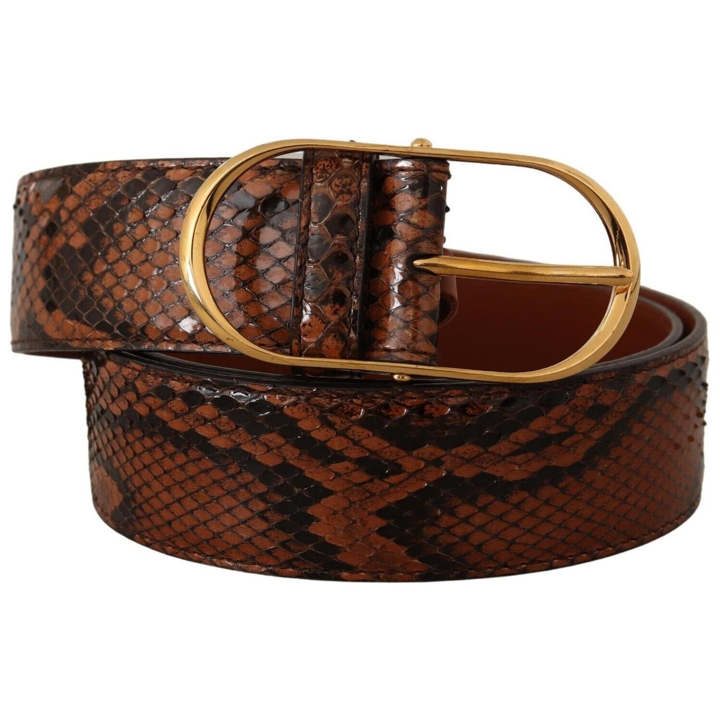 Dolce & Gabbana Elegant Leather Belt with Gold Buckle Dolce & Gabbana Dark Slate Gray