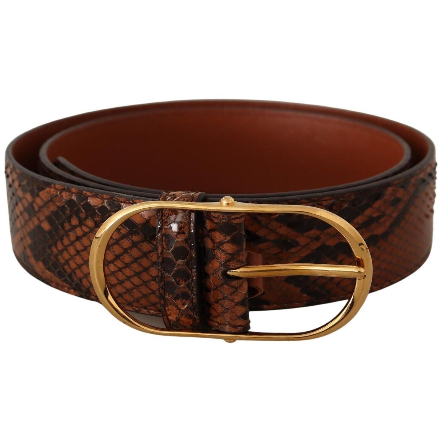 Dolce & Gabbana Elegant Leather Belt with Gold Buckle Dolce & Gabbana Dark Slate Gray