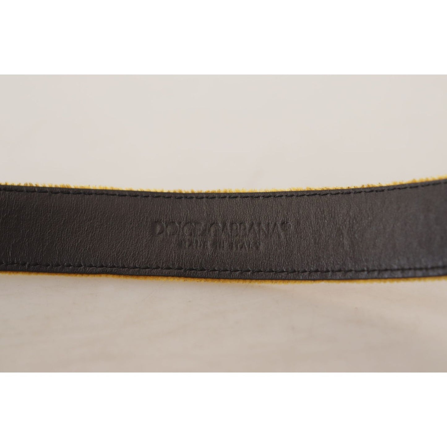 Dolce & Gabbana Elegant Velvet Gold Buckle Women's Belt Dolce & Gabbana Gray