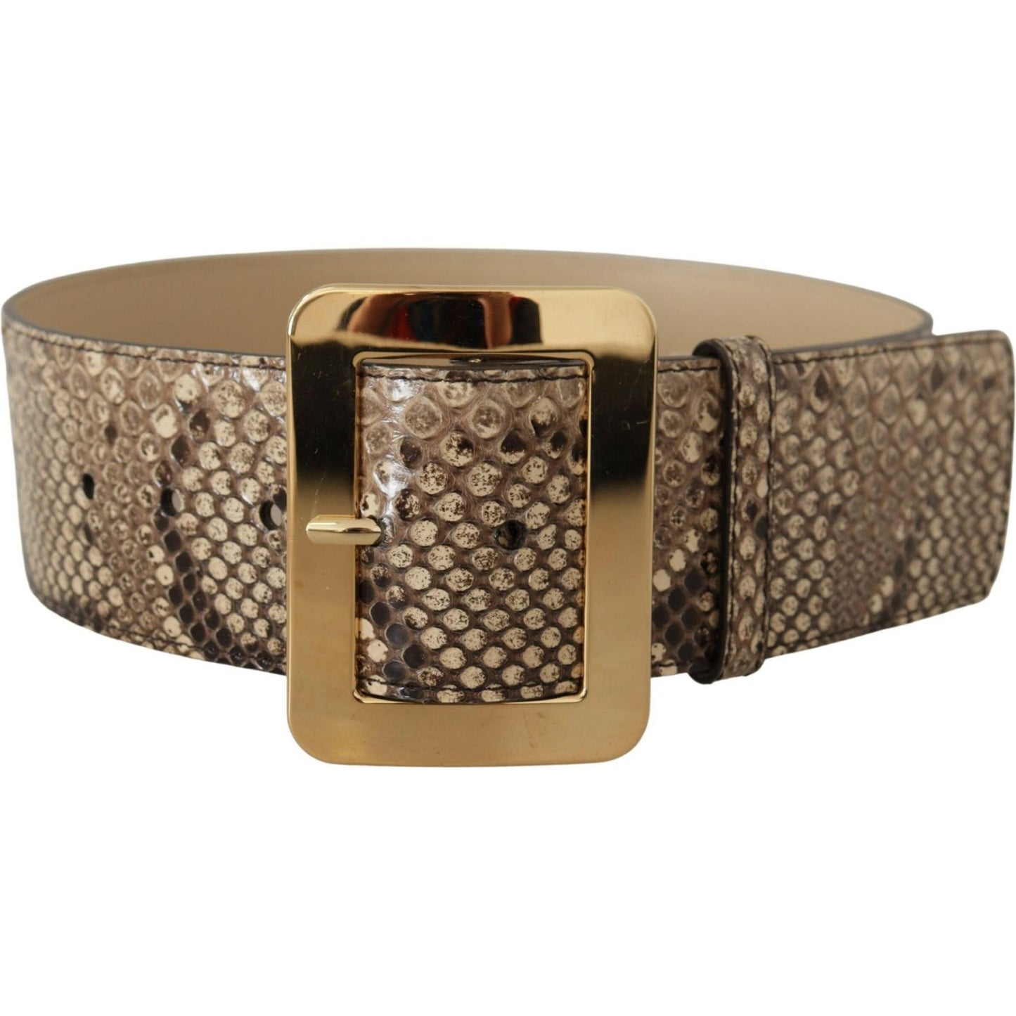 Dolce & Gabbana Elegant Leather Belt with Engraved Buckle Dolce & Gabbana Dim Gray