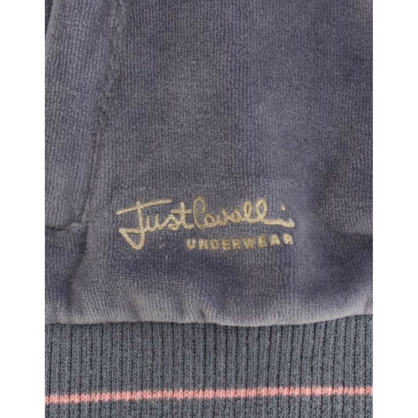 Cavalli Elegant Blue Zip Cardigan with Gold Details Cavalli Dim Gray