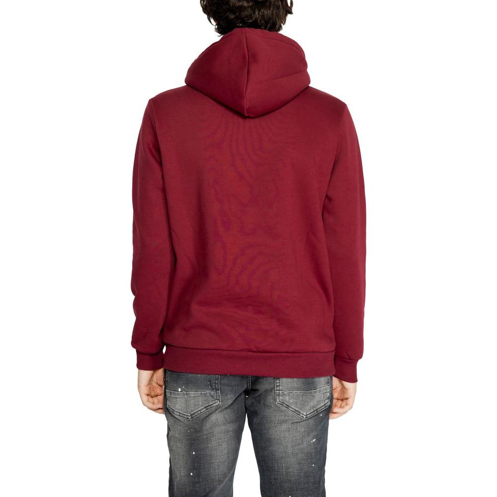 Icon Bordeaux Cotton Sweater Icon Brown