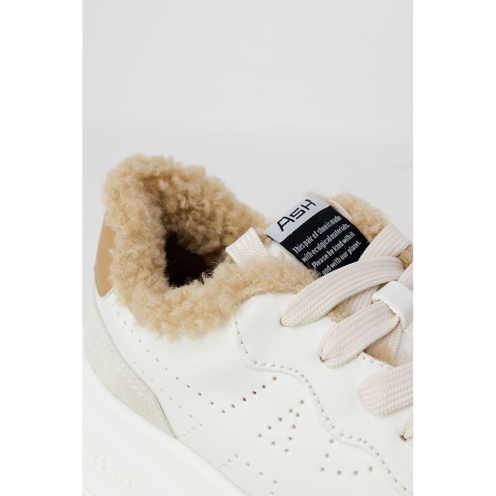 ASH Beige Leather Sneaker ASH Light Gray