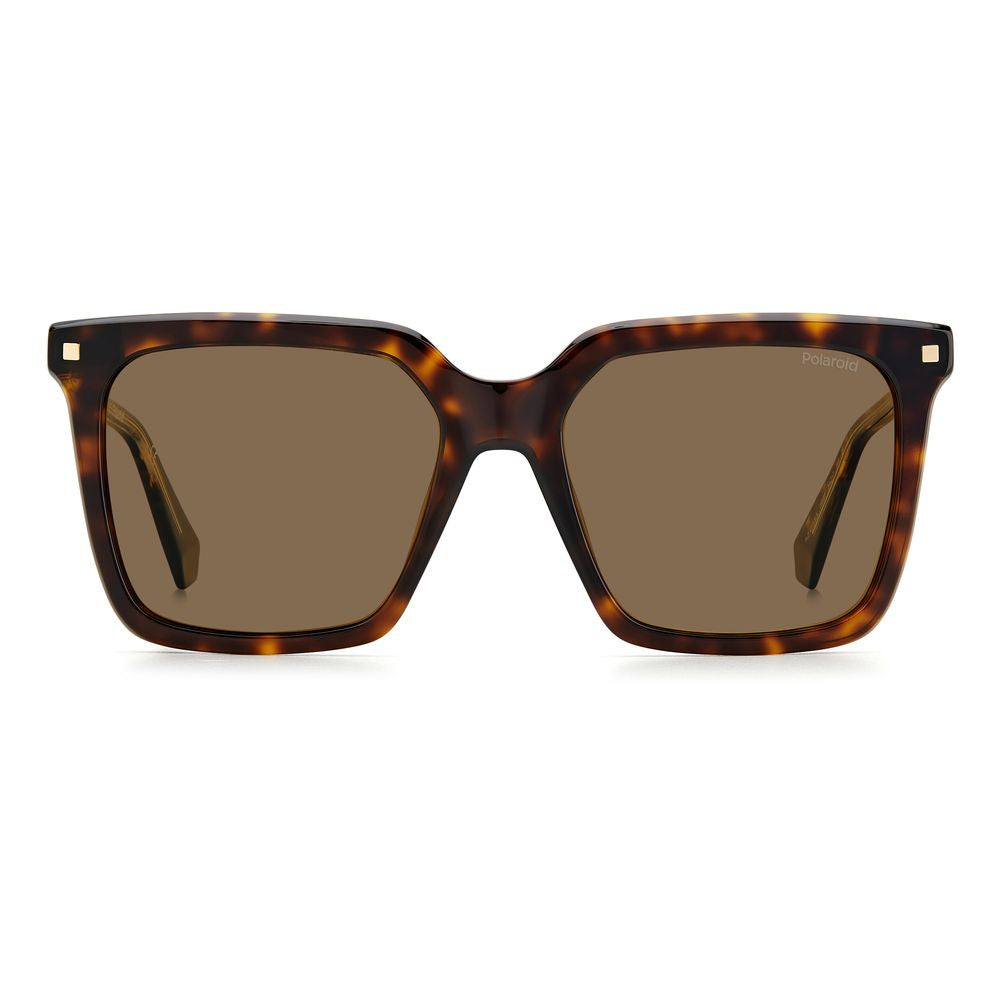 Polaroid Brown Acetate Sunglasses Polaroid Dim Gray