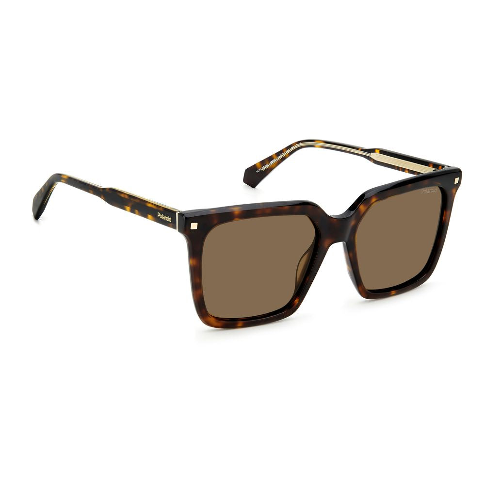 Polaroid Brown Acetate Sunglasses Polaroid Dim Gray