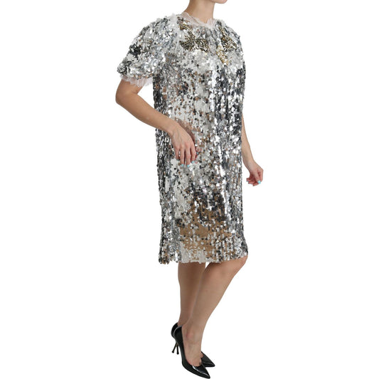 Dolce & Gabbana Elegant Silver A-Line Dress with Crystal Accents Dolce & Gabbana Light Slate Gray