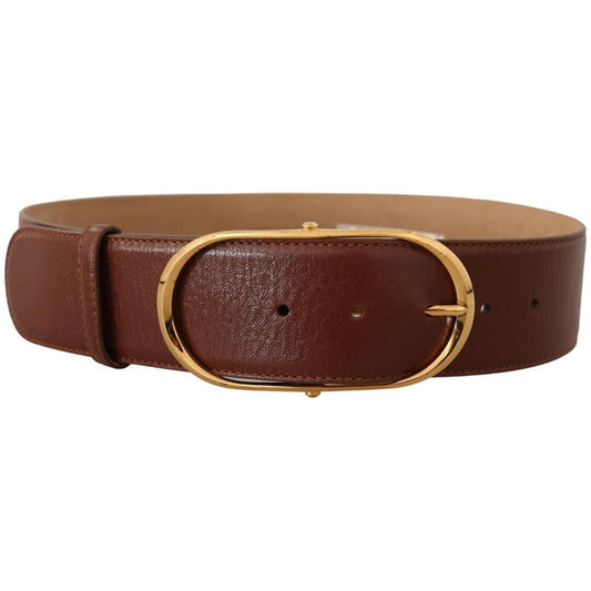 Dolce & Gabbana Elegant Brown Leather Belt with Gold Buckle Dolce & Gabbana Saddle Brown