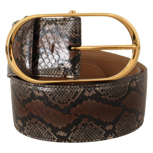 Dolce & Gabbana Elegant Brown Leather Belt with Gold Buckle WOMAN BELTS Dolce & Gabbana Dark Slate Gray