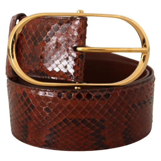 Dolce & Gabbana Elegant Python Snake Skin Leather Belt WOMAN BELTS Dolce & Gabbana Dark Slate Gray