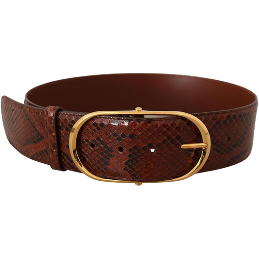 Dolce & Gabbana Elegant Python Snake Skin Leather Belt WOMAN BELTS Dolce & Gabbana Dark Slate Gray