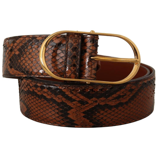 Dolce & Gabbana Elegant Leather Belt with Gold Buckle Dolce & Gabbana Dark Slate Gray