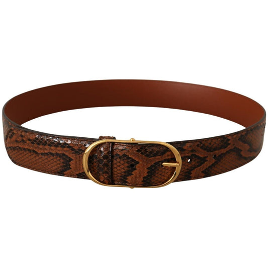 Dolce & Gabbana Elegant Leather Belt with Gold Buckle Dolce & Gabbana Saddle Brown