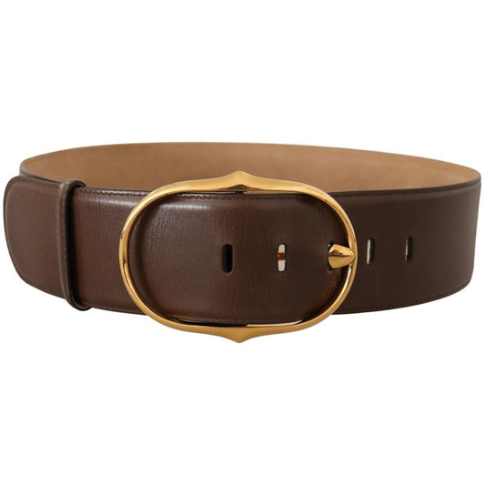 Dolce & Gabbana Elegant Brown Leather Belt with Gold Buckle Dolce & Gabbana Dark Slate Gray