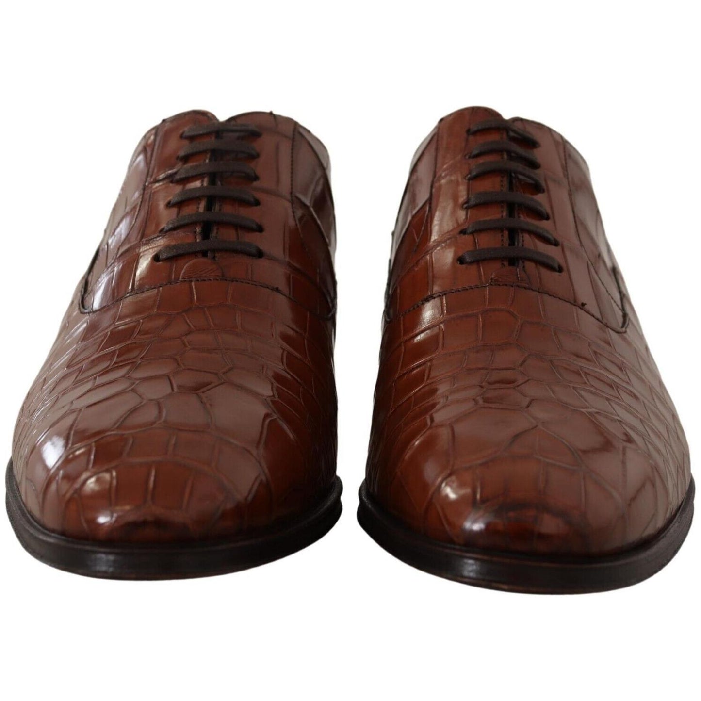 Dolce & Gabbana Brown Crocodile Leather Mens Formal Derby Shoes