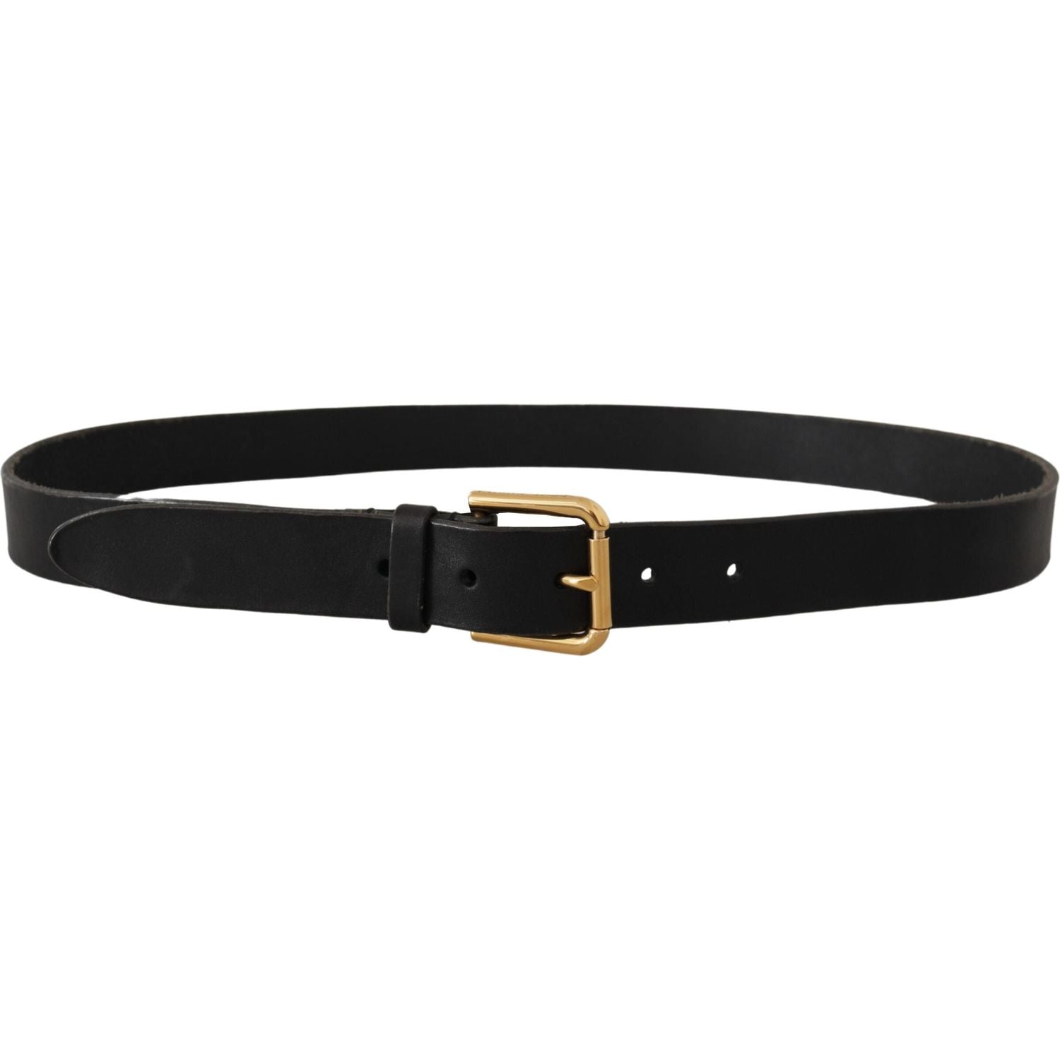 Dolce & Gabbana Brown Classic Leather Gold Metal Buckle Belt