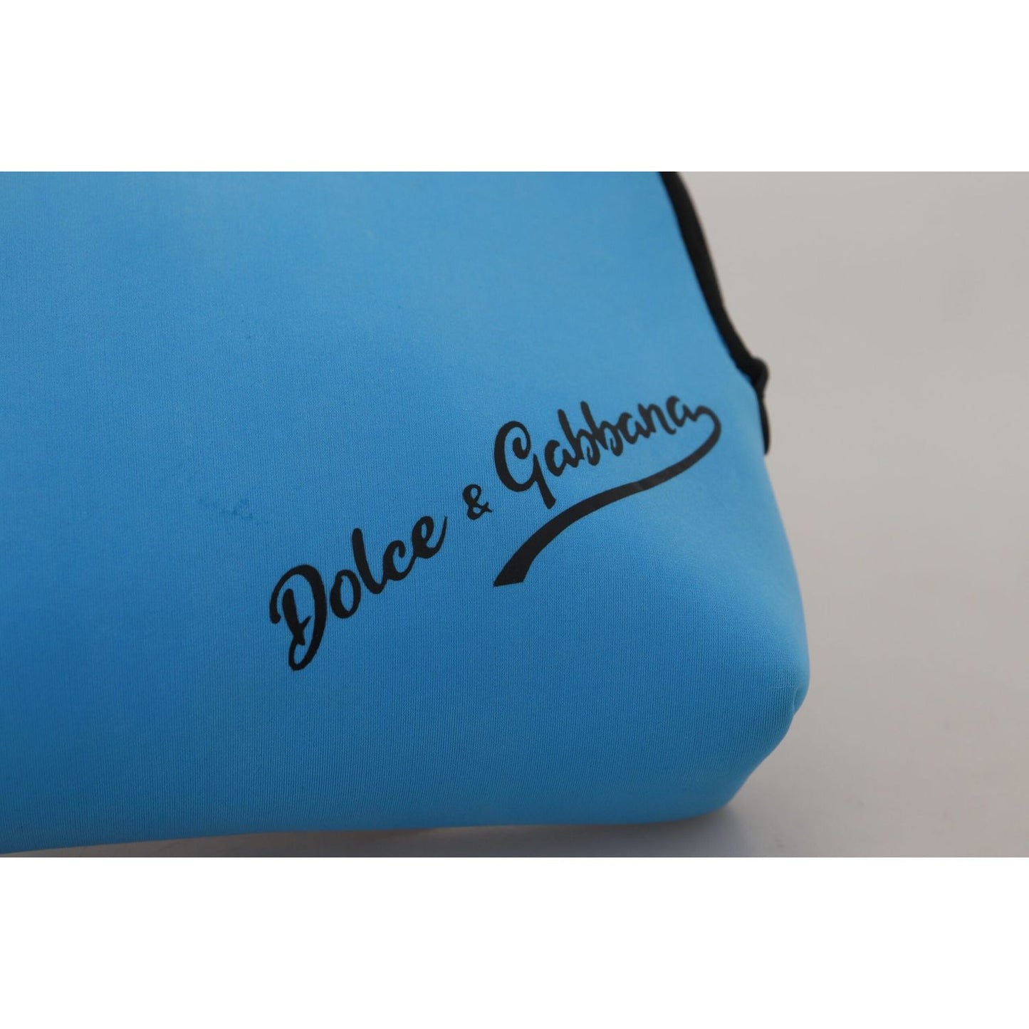 Dolce & Gabbana Blue Logo Print Hand Pouch Leopard Print Toiletry Bag