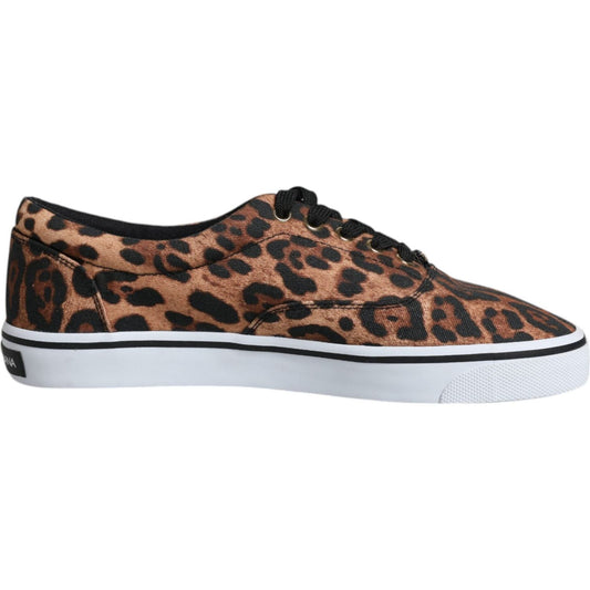 Dolce & Gabbana Brown Leopard Logo Print Cotton Sneakers Shoes Dolce & Gabbana Gray