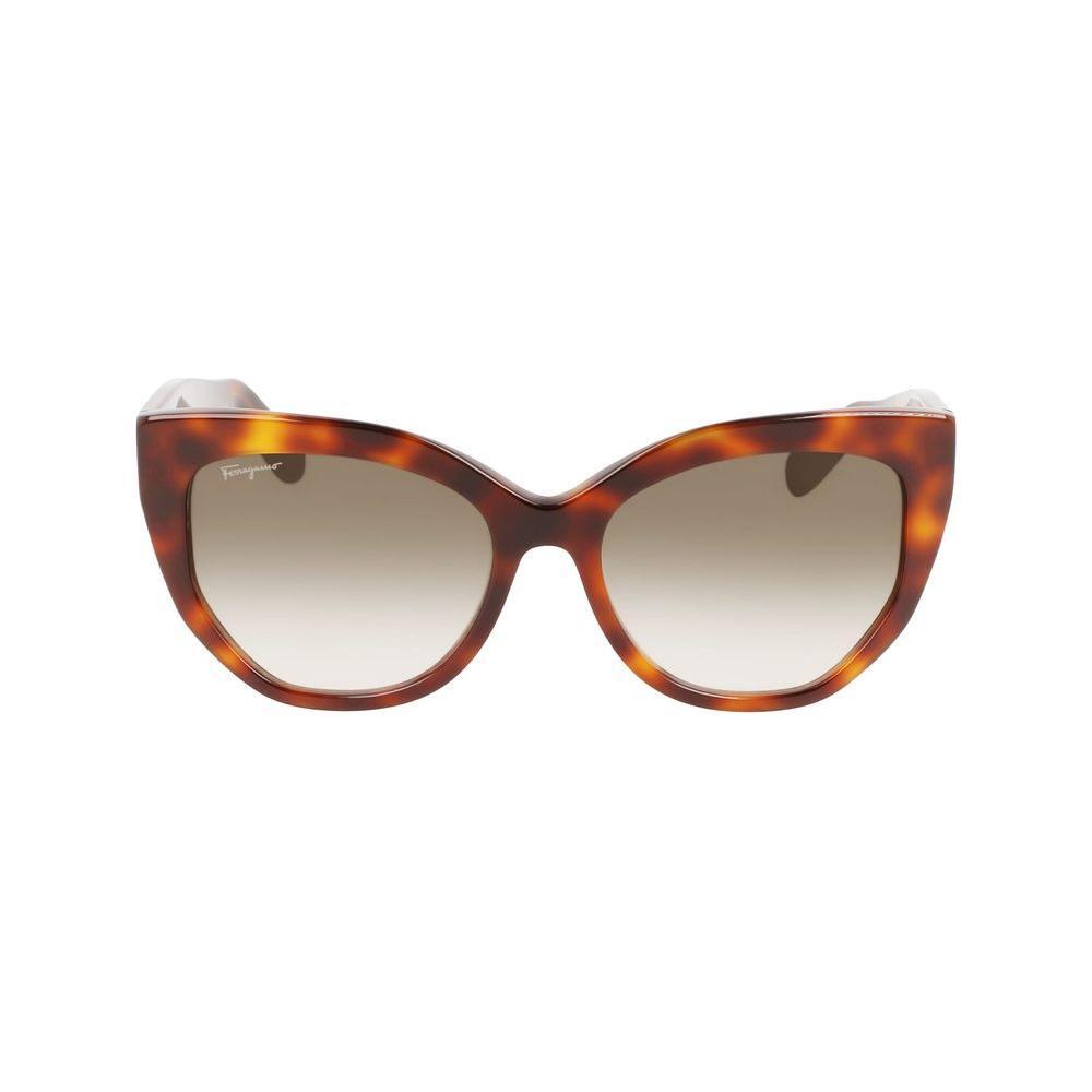 Ferragamo Brown Acetate Sunglasses