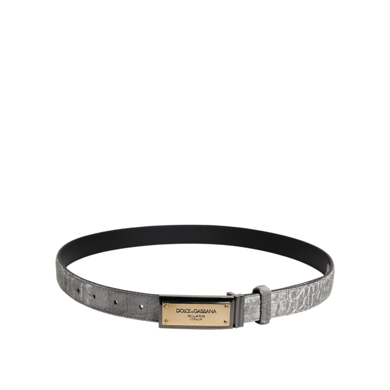 Dolce & Gabbana Silver Classic Gold Logo Plaque Buckle Belt