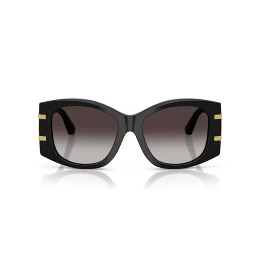 DOLCE & GABBANA MOD. DG 4501 SUNGLASSES & EYEWEAR